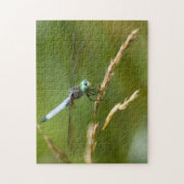 Dragonfly Puzzle Legpuzzel (Verticaal)