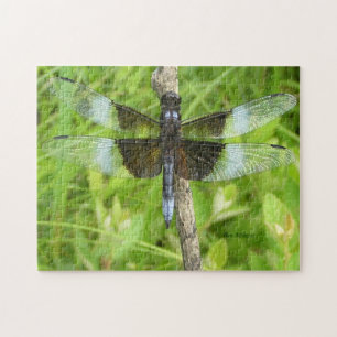 Dragonfly Puzzle Legpuzzel
