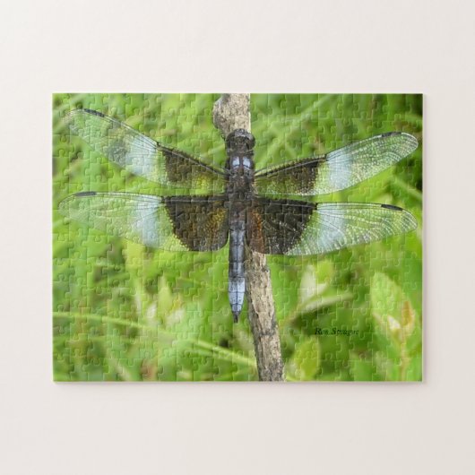 Dragonfly Puzzle Legpuzzel (Horizontaal)