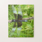 Dragonfly Puzzle Legpuzzel (Verticaal)