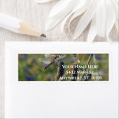 Dragonfly Return Address Label (Insitu)