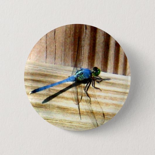 Dragonfly Ronde Button 5,7 Cm (Voorkant)