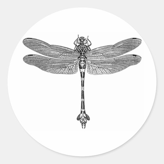 Dragonfly Ronde Sticker (Voorkant)
