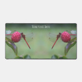 Dragonfly rouge sur le fruit de bois de chien Pers (Recto)