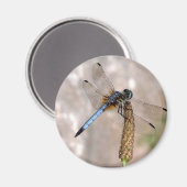 Dragonfly /Round Magnet (Recto/Verso)