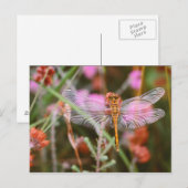 Dragonfly roze op Flowers Briefkaart (Voorkant / Achterkant)