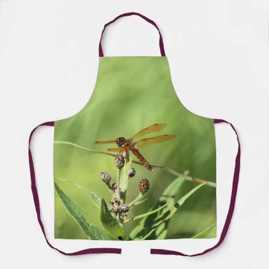 Dragonfly Schort (Voorkant)