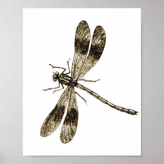 Dragonfly - Sepia Poster (Voorkant)