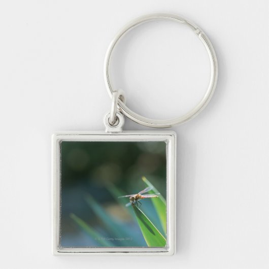 Dragonfly Sleutelhanger (Voorkant)