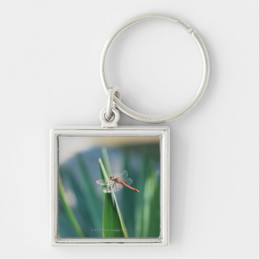 Dragonfly Sleutelhanger (Voorkant)