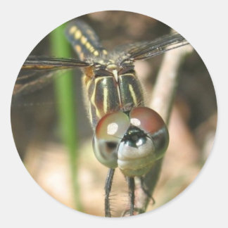 "Dragonfly Smile" Sticker Sheet