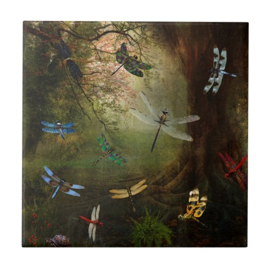 Dragonfly-speelplaats Tegeltje (Voorkant)