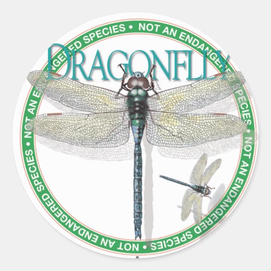 Dragonfly Sticker (Voorkant)
