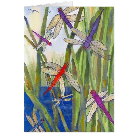Dragonfly Summer (Voorkant)