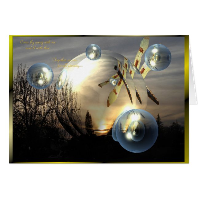 Dragonfly Sunset (Voorkant Horizontaal)