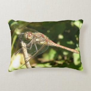 Dragonfly sur un Coussin de Twig