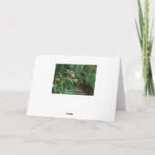 Dragonfly sur une carte à brindilles (Dos)