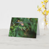 Dragonfly sur une carte à brindilles (Fleur jaune)