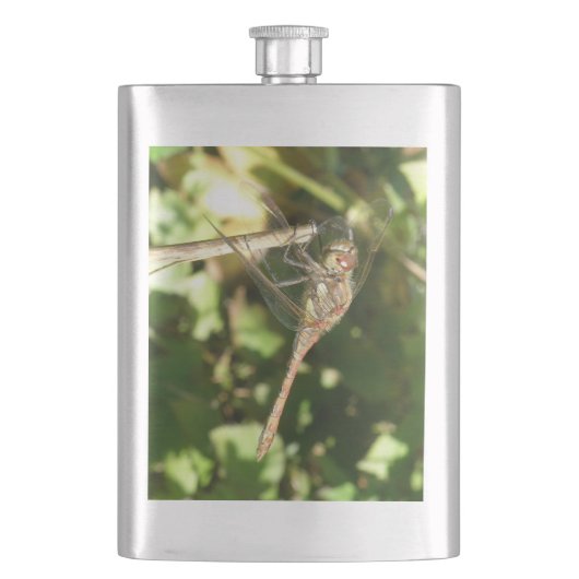 Dragonfly sur une fiole de brindilles (devant)