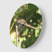 Dragonfly sur une horloge murale de brindilles (Angle)