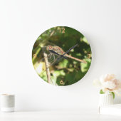 Dragonfly sur une horloge murale de brindilles (Maison)
