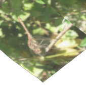 Dragonfly sur une nappe de brindilles (Angle)