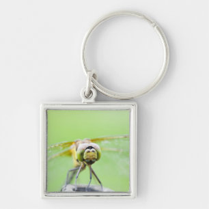 Dragonfly (Sympetrum infuscatum) Sleutelhanger