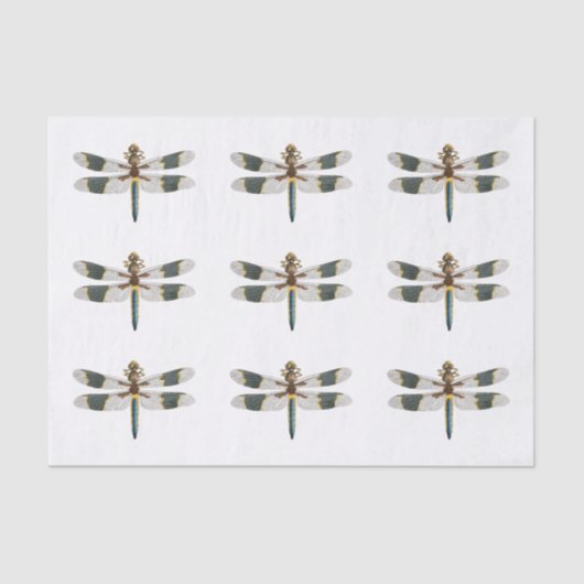  dragonfly-tekenpapier Gift Wrapping Tissuepapier (Voorkant)