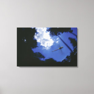 Dragonfly tijdens de vlucht, vleugels met flapende canvas afdruk