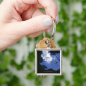 Dragonfly tijdens de vlucht, vleugels met flapende sleutelhanger (Hand)