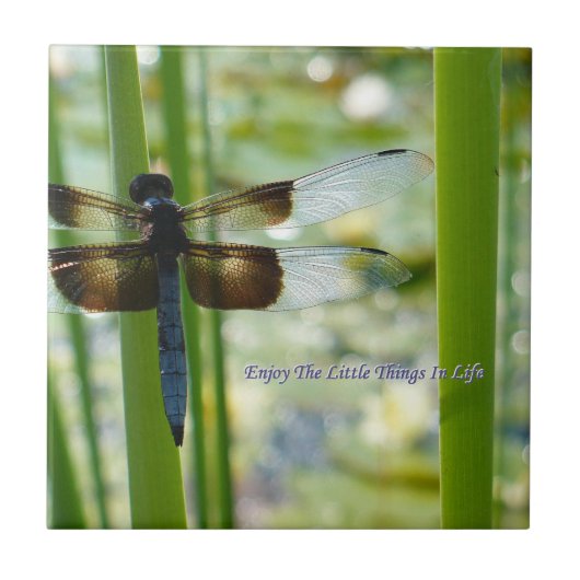 Dragonfly Tile Tegeltje (Voorkant)