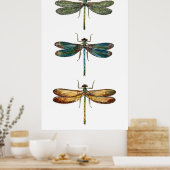 Dragonfly Trio Poster (Keuken)