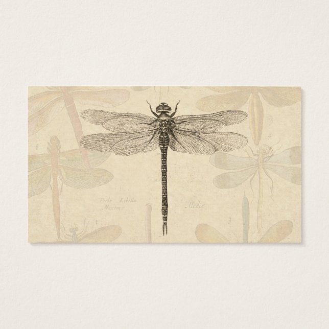 Dragonfly Vintage dessin classique (Dos)
