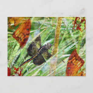 Dragonfly, Vliegweg Briefkaart