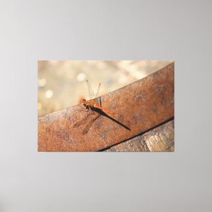 Dragonfly voor magisch kijken canvas afdruk