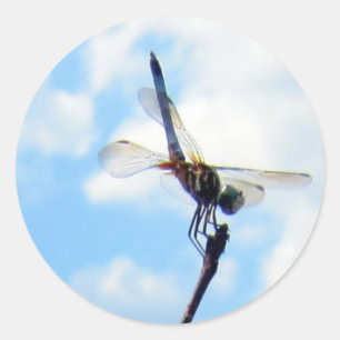 Dragonfly ~ Voorbereiden op de start Ronde Sticker