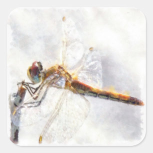 Dragonfly Waterverf Pastel White Achtergrond Vierkante Sticker