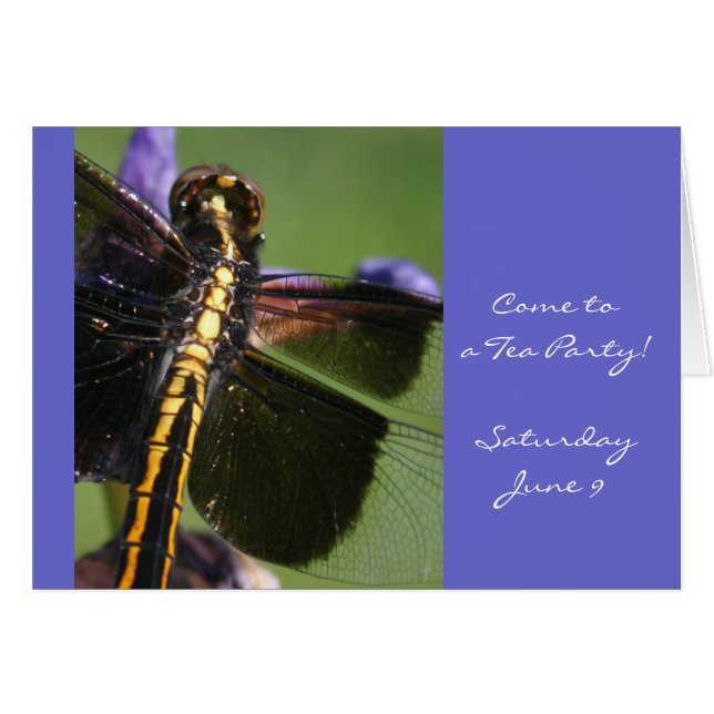 Dragonfly Wings (Voorkant Horizontaal)