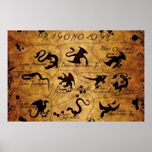 Dragonologie Poster (Voorkant)