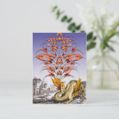Dragon's Breath Briefkaart (Staand voorkant)