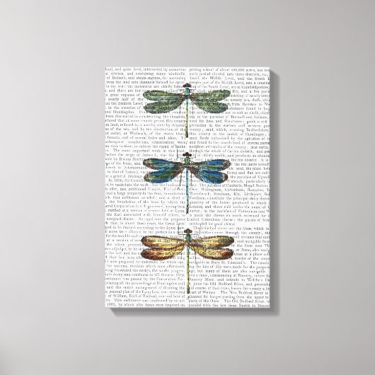 Dragonvliegen afdrukken (Voorkant)