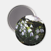 Drains de neige par River Hafren Fridge Magnet (Recto/Verso)