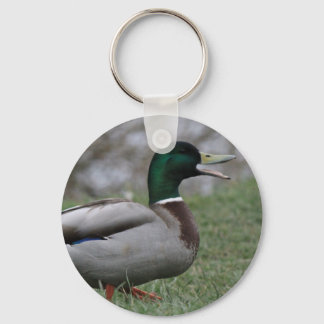 Drake Mallard Duck Sleutelhanger