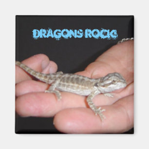 Draken Rocken Mijn Wereld Magneet