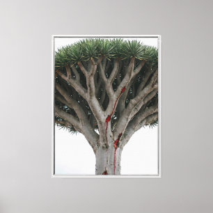 Drakenbloedboom Mystieke Surrealistische Natuur L Canvas Afdruk