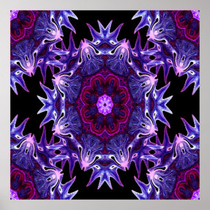 Drakenbloemen....... Poster