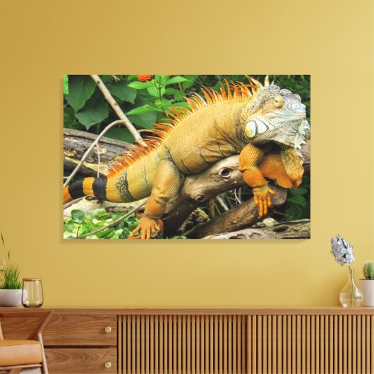 Drakenhagedis Canvas Afdruk (Insitu (Woonkamer))