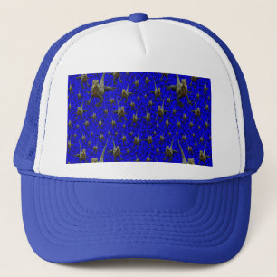 Drakenhagedis, Pet van truckers