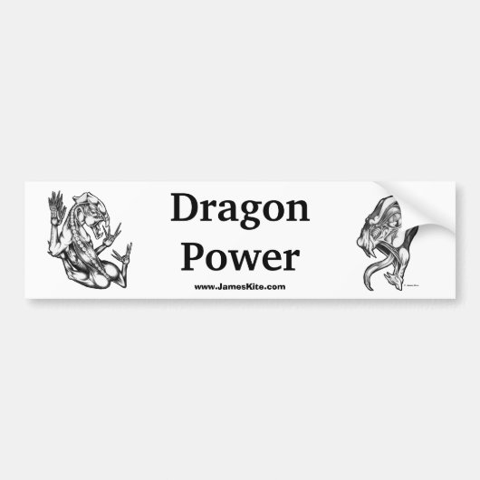 Drakenstroom Bumpersticker (Voorkant)