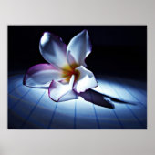 DRAMA (edt) Poster (Voorkant)